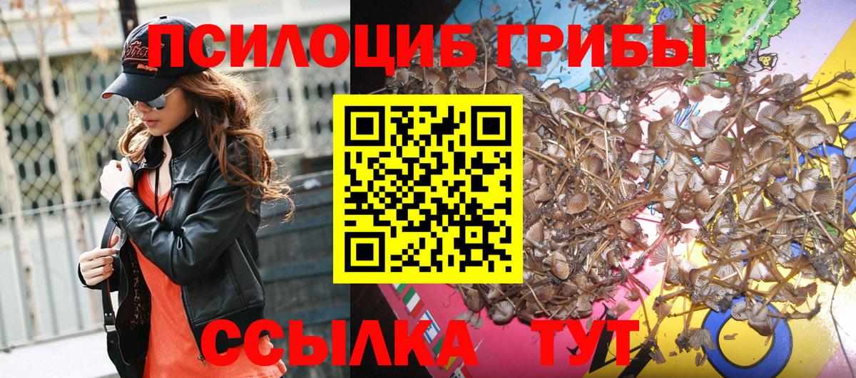 Галлюциногенные грибы ЛСД Александров