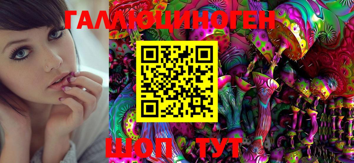 Александров  Псилоцибиновые грибы прущие грибы  Вход с VPN  Псилоцибиновые грибы Psilocybe 